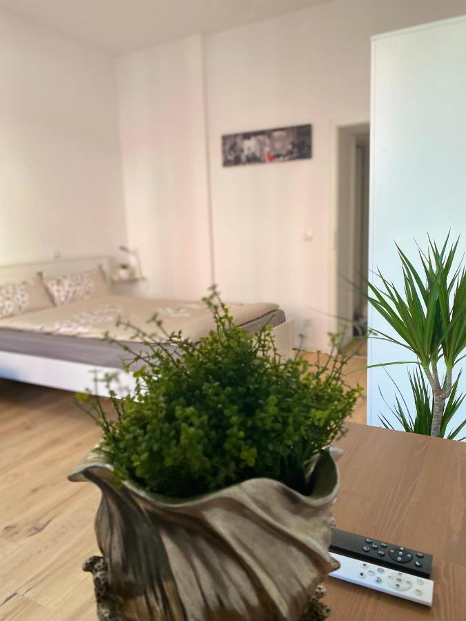 קובלנץ Pnt Home-Stilvolles Apartment מראה חיצוני תמונה